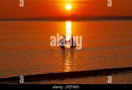 Portobello, Édimbourg, Écosse, Royaume-Uni. 4th avril 2023. Deux nageurs sauvages de sexe féminin se baignent dans le Firth of Forth à l'aube. Credit: Archwhite/alamy Live news. Banque D'Images