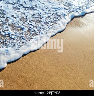 Mousse d'océan couvrant une belle plage de sable. Gros plan. Banque D'Images