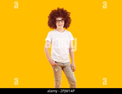 Portrait d'un petit enfant heureux dans une drôle de perruque, T-shirt, jeans et lunettes Banque D'Images