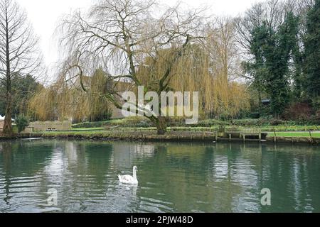 Architecture de campagne extérieure et conception de bâtiments européens à la ferme de la truite de Bibury dans le village de Cotswold - Angleterre, Royaume-Uni Banque D'Images