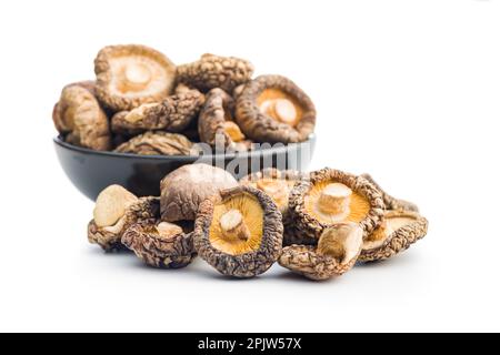 Champignons shiitake séchés isolés sur fond blanc. Banque D'Images