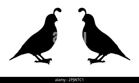 Silhouette noire de caille. Dessin avec des animaux amusants. Modèle pour les enfants à découper. Banque D'Images