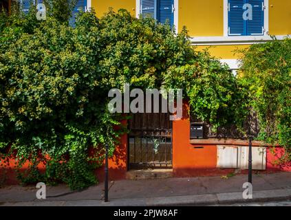 Paris, France, octobre 2022, vue de quelques plantes grimpantes sur un mur orange dans le quartier de Ménilmontant Banque D'Images