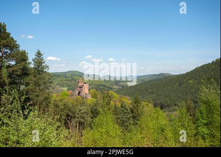 Château de Berwartstein dans le paysage du Parc naturel de la Forêt du Palatinat, Erlenbach, Palatinat, Rhénanie-Palatinat, Allemagne, Europe Banque D'Images