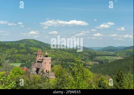 Château de Berwartstein dans le paysage du Parc naturel de la Forêt du Palatinat, Erlenbach, Palatinat, Rhénanie-Palatinat, Allemagne, Europe Banque D'Images