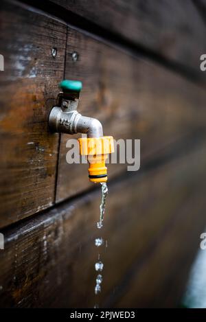 robinet de jardin sur le mur d'une maison avec des lambris en bois, l'eau s'écoulant du robinet, le début de la saison de jardinage, l'arrosage de la végétation Banque D'Images