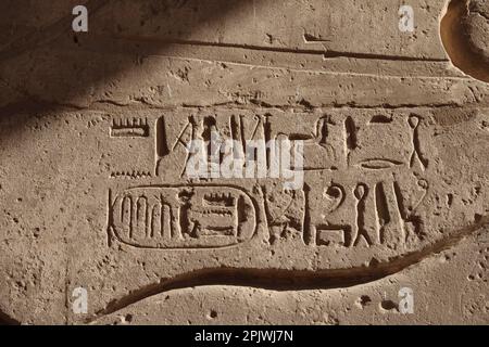 Le Ramesseum, temple funéraire de Ramsès II sur la rive ouest du Nil à Louxor, Egypte Banque D'Images