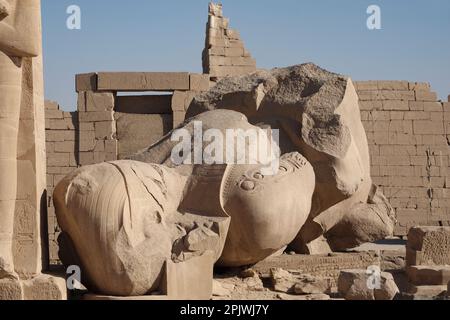 Colosse déchu dans le Ramesseum, Temple mortuaire de Ramsès II sur la rive ouest du Nil à Louxor, Égypte Banque D'Images