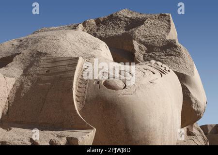 Colosse déchu dans le Ramesseum, Temple mortuaire de Ramsès II sur la rive ouest du Nil à Louxor, Égypte Banque D'Images