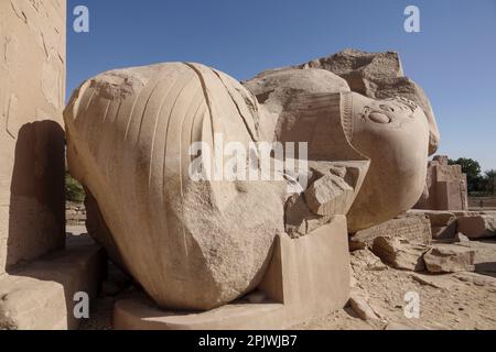 Colosse déchu dans le Ramesseum, Temple mortuaire de Ramsès II sur la rive ouest du Nil à Louxor, Égypte Banque D'Images