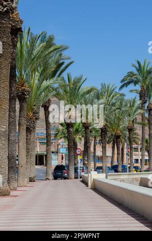 AQUADULCE, ESPAGNE - 29 MARS 2023 Promenade le long de la côte de la Costa de Almeria dans l'une des plus importantes villes touristiques de la province d'Almer Banque D'Images