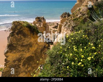 Vue sur les colonnes de grès en forme de vague sur la plage Praia de Vale Olival Armação de Pêra Algarve Portugal eu le long de la côte atlantique de l'océan Banque D'Images