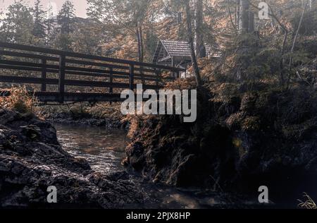 Une scène tranquille en plein air avec un pont traversant une étendue d'eau Banque D'Images