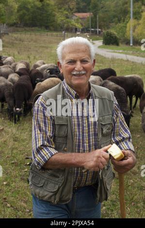 Innocenti Stefano avec ses moutons pour la production de fromage Pecorino à Piteglio; Abetone; Pistoia montagnes; Pistoia; Toscane; Italie ; Europe Banque D'Images