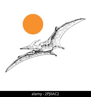 Ptérodactyle volant préhistorique créature dangereuse de la période jurassique squelette illustrations vecteur Illustration de Vecteur