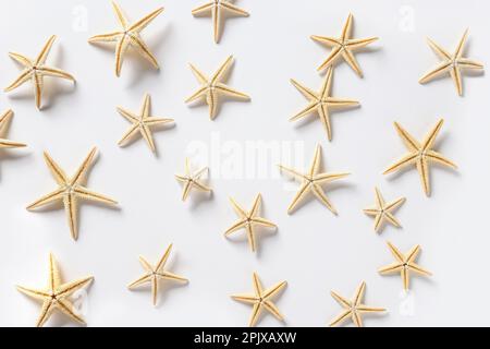 Motif d'étoiles de mer sur fond blanc. Vue de dessus. Concept vacances d'été à la plage. Pose à plat. Banque D'Images