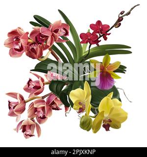 Bouquet d'orchidées d'aquarelle. Fleurs réalistes de cymbidium, de phalaenopsis et de Paphiopedilum Banque D'Images