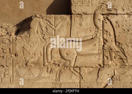 Détail des scènes de bataille sur le parvis du Temple de Seti I, Abydos, Égypte Banque D'Images