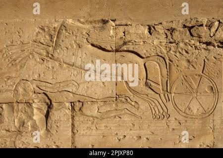 Détail des scènes de bataille sur le parvis du Temple de Seti I, Abydos, Égypte Banque D'Images