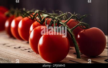 Tomates mûres rouges sur la vigne. Prise de vue macro. Banque D'Images