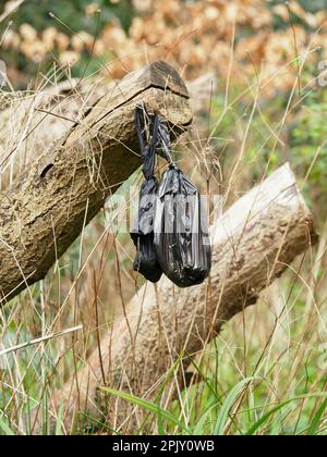 Une scène désordonnée de sacs de pooing et de déchets fécaux de chiens en plastique jetés dans un cadre naturel et sauvage, sans personne présente. Banque D'Images