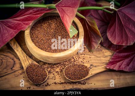 Graines rouges ou blanches de Chenopodium quinoa sur une table en bois Banque D'Images