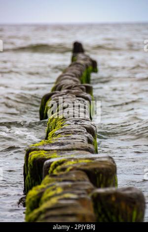 Brise-lames en bois dans la mer Baltique, Allemagne Banque D'Images