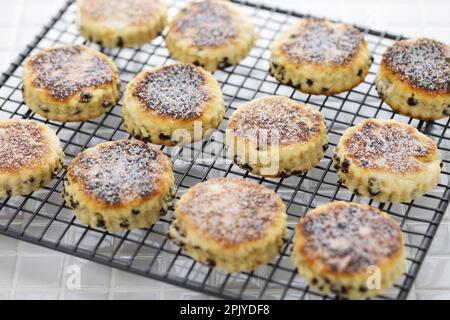 Gâteaux gallois faits maison ( bakestones ) sur une grille de refroidissement Banque D'Images