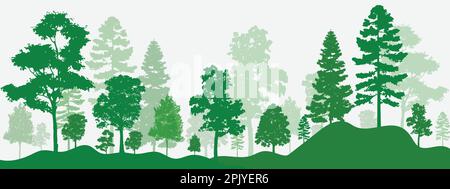 illustration avec des pins élevés dans une forêt d'arbres lointains isolée sur fond blanc Illustration de Vecteur