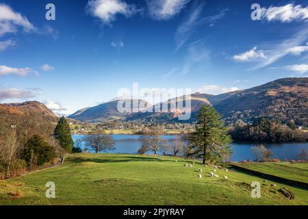 Vue imprenable sur Grasmere avec la chaîne de montagnes de Fairfield en arrière-plan prise de Red Bank, Lake District National Park, Cumbria, Angleterre, Royaume-Uni Banque D'Images