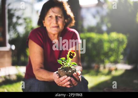 Femme âgée tenant une fleur violette dans ses mains, jardinant un jour ensoleillé Banque D'Images