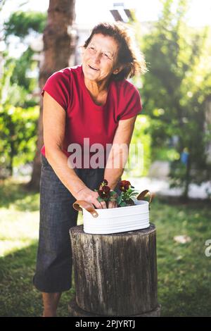 Femme âgée de 70s ans, empotant des fleurs un jour de printemps ensoleillé Banque D'Images