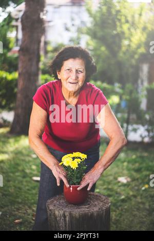 Femme âgée qui empote des fleurs le jour ensoleillé du printemps Banque D'Images