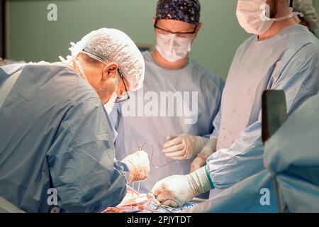 Photo de deux chirurgiens expérimentés et d'une infirmière en alerte effectuant une opération sous une lampe électrique lumineuse dans une salle d'opération moderne, surg professionnel Banque D'Images