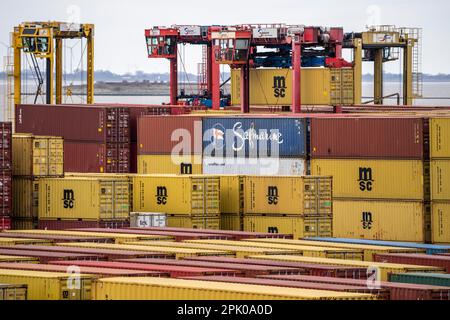 Terminal de conteneurs dans le port maritime de Bremerhaven, terminal de conteneurs Eurogate avec près de 50 grues portiques de conteneurs, sur une longueur de plus de 4 KM Banque D'Images