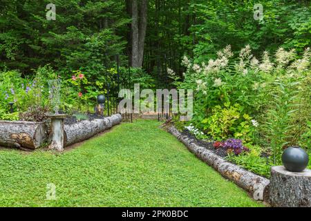 Persicaria polymorpha - Fleeceflower, Geranium 'Rozanne' - Cranesbill, Lilium - Asiatic Lily, Oxalis purpurea - Shamrock, blanc Impatiens. Banque D'Images