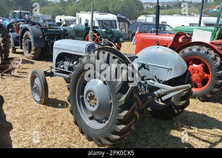 Un tracteur Nuffield 460 1962 est exposé à la Torbay Steam Fair, Devon, Angleterre, Royaume-Uni. Banque D'Images