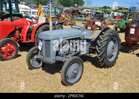 Un tracteur Nuffield 460 1962 est exposé à la Torbay Steam Fair, Devon, Angleterre, Royaume-Uni. Banque D'Images