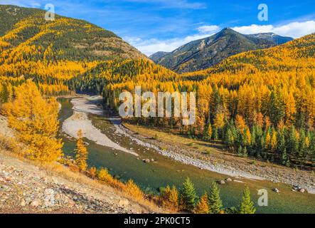 Couleurs d'automne le long de la rivière Middle fork sur la frontière du parc national des Glaciers, à Essex, Montana Banque D'Images