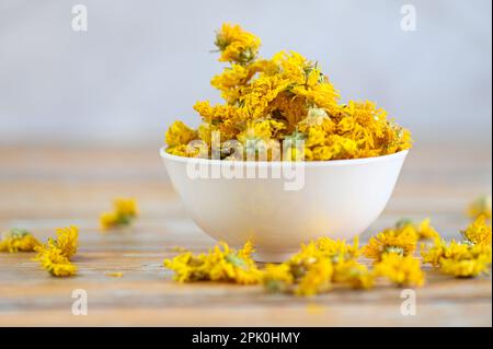 Thé à la fleur de chrysanthème chinois - bourgeons de chrysanthème séchés pour le thé aux herbes sur fond de bois, chrysanthème sec jaune de fleur Banque D'Images