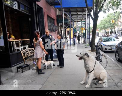 Café Caramello à Park Slope, Brooklyn, New York, États-Unis. Banque D'Images