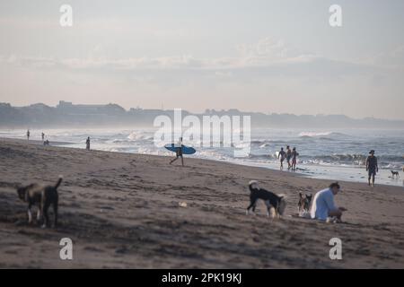 Canggu, Bali, Indonésie - 14 mars 2023 : personnes sur la plage de Bali, Indonésie. Banque D'Images