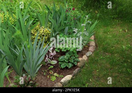 Magnifique lit fleuri avec différentes plantes à l'extérieur. Jardinage et aménagement paysager Banque D'Images