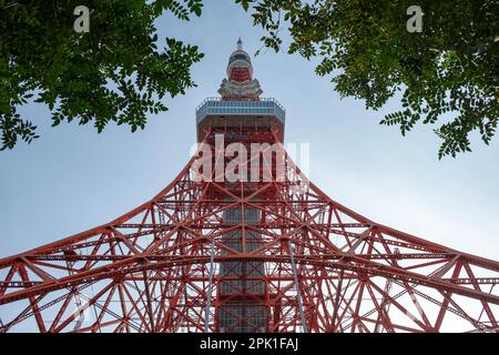 Tokyo, Japon - 9 mars 2023 : la tour de Tokyo est une tour de télécommunications et d'observation située dans le parc Shiba à Minato, Tokyo, Japon. Banque D'Images