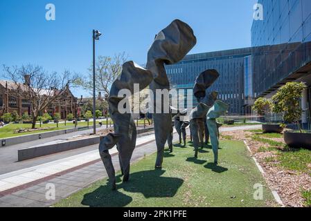 « Individual’s, une sculpture en bronze de 2013 (d’une valeur de 1,4m 2015 $) donnée par l’artiste de renommée internationale Andrew Roger à l’Université de Sydney Banque D'Images