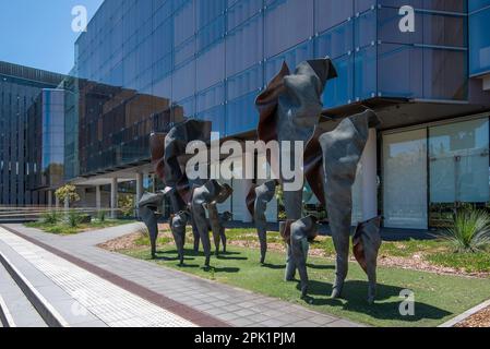 « Individual’s, une sculpture en bronze de 2013 (d’une valeur de 1,4m 2015 $) donnée par l’artiste de renommée internationale Andrew Roger à l’Université de Sydney Banque D'Images