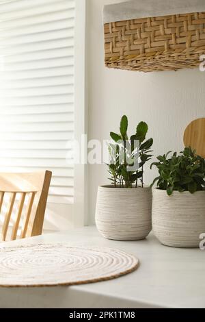 Différentes herbes aromatiques en pot sur le comptoir de la cuisine Banque D'Images