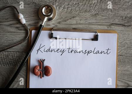 Modèle de rein, stéthoscope et presse-papiers avec greffe de REIN de texte. Concept médical et de soins de santé Banque D'Images