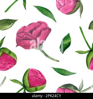 Motif aquarelle dessiné à la main de pivoines roses et de feuilles vertes Banque D'Images