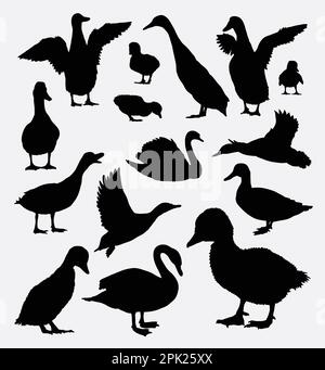 Silhouettes de canard, d'oie et d'animal de cygne Illustration de Vecteur